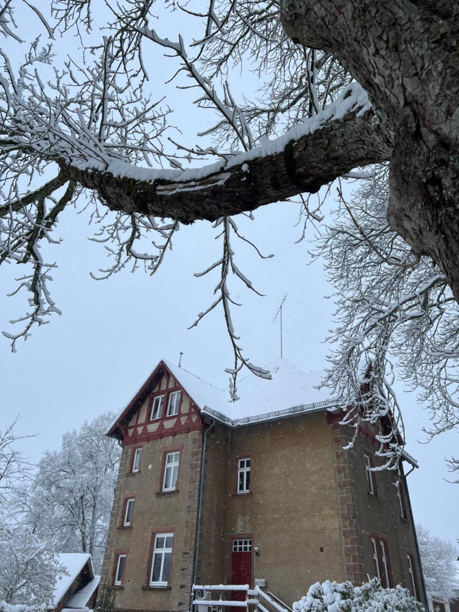 L' Extravagante Im Garten Von Schloss Schmidtheim מראה חיצוני תמונה