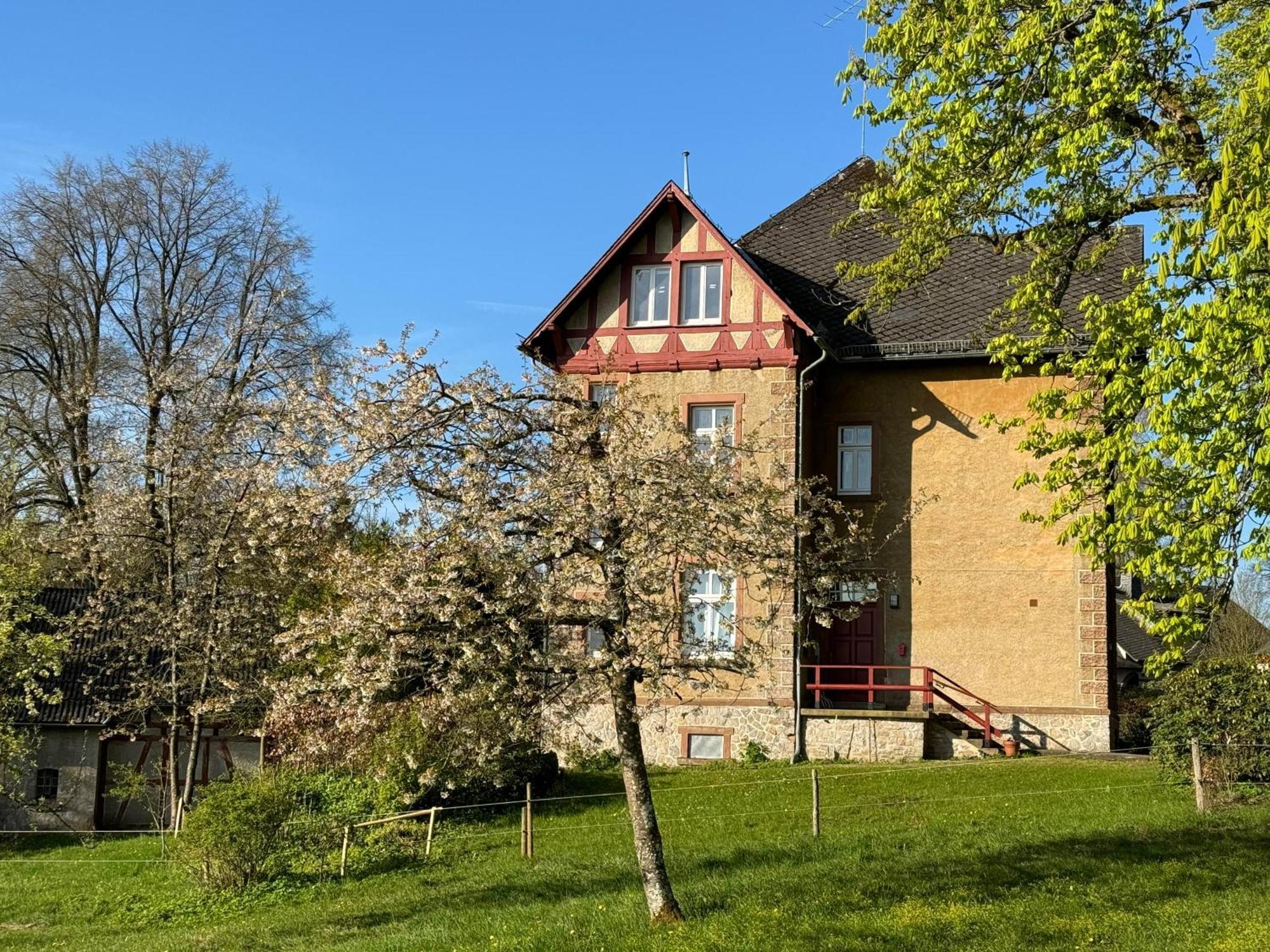 L' Extravagante Im Garten Von Schloss Schmidtheim מראה חיצוני תמונה